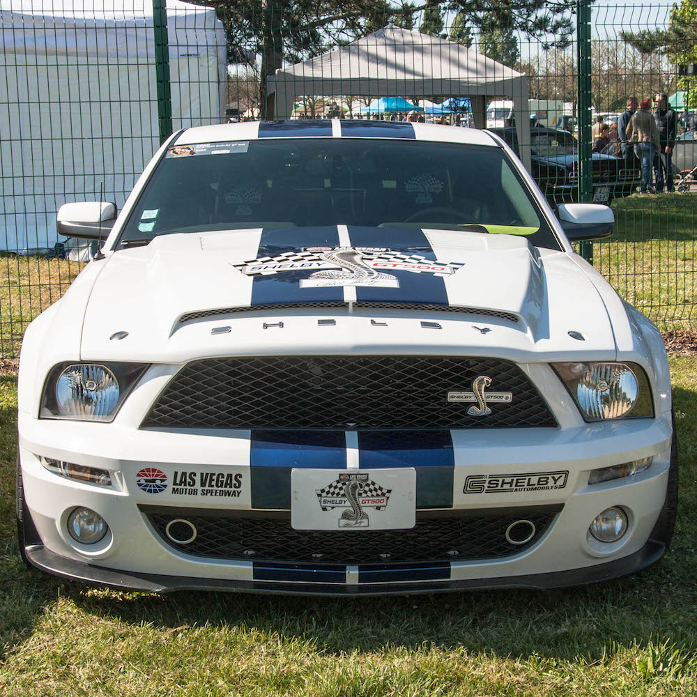 La Mustang Shelby de ShelbyStef